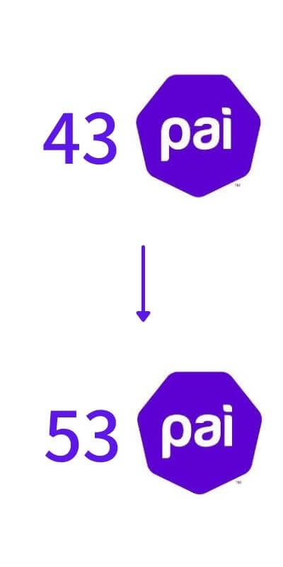 43PAIから53PAI