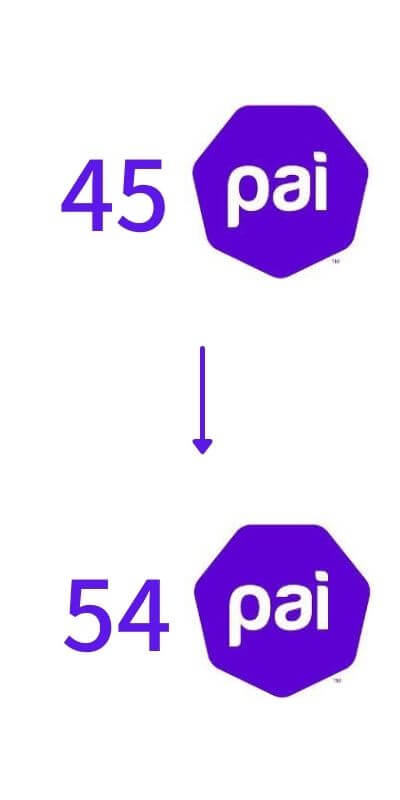45PAIから54PAI